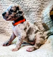 processed/4a1d5a1e-dd03-4f10-b459-3cd30affb454/listing/29903294-51f4-44a7-8107-819506cad951/3c600f0e-590d-4624-b22d-aa6240dcf2ce