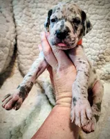 processed/4a1d5a1e-dd03-4f10-b459-3cd30affb454/listing/29903294-51f4-44a7-8107-819506cad951/4b34f0bb-a35c-46d3-8420-0ce1647aa564