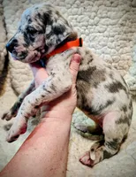 processed/4a1d5a1e-dd03-4f10-b459-3cd30affb454/listing/29903294-51f4-44a7-8107-819506cad951/ddebe29d-c45d-4503-993a-3479620ef36b