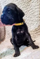 processed/4a1d5a1e-dd03-4f10-b459-3cd30affb454/listing/6b09290c-9166-4779-9ef0-554ed3085bc1/34eca93e-c560-45ac-826b-43fa1d153c01