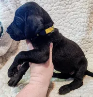 processed/4a1d5a1e-dd03-4f10-b459-3cd30affb454/listing/6b09290c-9166-4779-9ef0-554ed3085bc1/4382a545-1858-470c-ad4e-4fb5cf131728