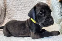 processed/4a1d5a1e-dd03-4f10-b459-3cd30affb454/listing/6b09290c-9166-4779-9ef0-554ed3085bc1/56836680-fdbb-4205-b957-a89100bf885c