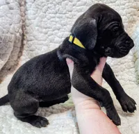 processed/4a1d5a1e-dd03-4f10-b459-3cd30affb454/listing/6b09290c-9166-4779-9ef0-554ed3085bc1/5b8eda73-c446-48fb-99f2-634956b9b401