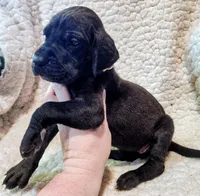 processed/4a1d5a1e-dd03-4f10-b459-3cd30affb454/listing/6b09290c-9166-4779-9ef0-554ed3085bc1/f3e549df-e33f-4cff-9759-36d8cd90dfa9