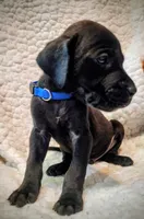 processed/4a1d5a1e-dd03-4f10-b459-3cd30affb454/listing/941601db-7104-46e0-8f36-882c41f669d2/45c297a5-19af-4528-bb0f-6deff829eaed