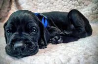 processed/4a1d5a1e-dd03-4f10-b459-3cd30affb454/listing/941601db-7104-46e0-8f36-882c41f669d2/912a3cd1-ecc8-4a8c-86b7-78003cef65c1