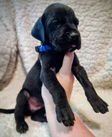 processed/4a1d5a1e-dd03-4f10-b459-3cd30affb454/listing/941601db-7104-46e0-8f36-882c41f669d2/9dc6f8a6-b2e0-40ab-bc21-2c5ed5b1f3a1