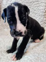 processed/4a1d5a1e-dd03-4f10-b459-3cd30affb454/listing/991df83a-1945-408a-a856-4cf9f4e4fbe5/54f342ba-bc19-4f33-b0b5-143ff1393ccd