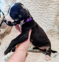 processed/4a1d5a1e-dd03-4f10-b459-3cd30affb454/listing/991df83a-1945-408a-a856-4cf9f4e4fbe5/655befdc-bce6-421a-9bca-d6381e39c92f