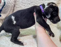 processed/4a1d5a1e-dd03-4f10-b459-3cd30affb454/listing/991df83a-1945-408a-a856-4cf9f4e4fbe5/9cdbbe25-ea40-41b4-ac99-ba666551f577