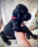 processed/4a1d5a1e-dd03-4f10-b459-3cd30affb454/listing/a7899106-5a83-40cc-a92c-1bbd69d67f80/12da309b-7e9c-4ec8-8103-9ef2900f3014