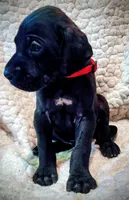 processed/4a1d5a1e-dd03-4f10-b459-3cd30affb454/listing/a7899106-5a83-40cc-a92c-1bbd69d67f80/3ff984bd-f4bf-42e0-87a2-091ec5947486