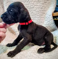 processed/4a1d5a1e-dd03-4f10-b459-3cd30affb454/listing/a7899106-5a83-40cc-a92c-1bbd69d67f80/425c4838-1838-4ec7-9084-c54aed93383b