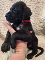 processed/4a1d5a1e-dd03-4f10-b459-3cd30affb454/listing/a7899106-5a83-40cc-a92c-1bbd69d67f80/b258ca53-b5c6-4a9d-8a25-a849f8160f9c