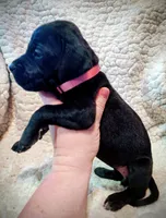 processed/4a1d5a1e-dd03-4f10-b459-3cd30affb454/listing/c55c4076-e783-4849-824e-c188541768c0/3bac125a-de36-4ef9-a705-bddd9975e39f