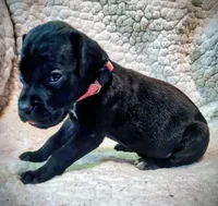 processed/4a1d5a1e-dd03-4f10-b459-3cd30affb454/listing/c55c4076-e783-4849-824e-c188541768c0/46442056-fed0-4402-876b-96c912900153