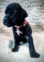 processed/4a1d5a1e-dd03-4f10-b459-3cd30affb454/listing/c55c4076-e783-4849-824e-c188541768c0/8e93732c-518f-4d9a-92fd-d469401a50d3