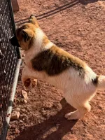 processed/4a1ef470-ef44-46c5-831c-b7878885efdb/listing/058a8c51-9ce1-44af-96a4-0c197864ac62/5c0ef5e5-e86c-4e44-b592-3f6fc91f6445