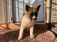 processed/4a1ef470-ef44-46c5-831c-b7878885efdb/listing/058a8c51-9ce1-44af-96a4-0c197864ac62/bfe7bedf-a0c7-4eef-b0b7-78a19c642f36