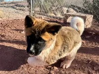 processed/4a1ef470-ef44-46c5-831c-b7878885efdb/listing/0bdd328e-d253-473c-871e-6f7d503399bc/767ec529-7606-47da-8f72-5f5292e2e8e2