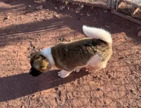 processed/4a1ef470-ef44-46c5-831c-b7878885efdb/listing/0bdd328e-d253-473c-871e-6f7d503399bc/f8f77f9d-00e8-4cd2-89f0-89db845c6985