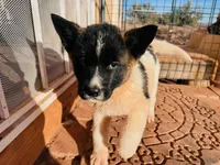 processed/4a1ef470-ef44-46c5-831c-b7878885efdb/listing/1dba3eaa-236d-4c6f-bc7c-7628caf114c5/0bfb2c19-82cf-4a45-953f-c0c06ed69332