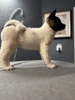 processed/4a1ef470-ef44-46c5-831c-b7878885efdb/listing/1dba3eaa-236d-4c6f-bc7c-7628caf114c5/0effafc6-35d1-44d8-b797-516d79684da7