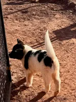 processed/4a1ef470-ef44-46c5-831c-b7878885efdb/listing/1dba3eaa-236d-4c6f-bc7c-7628caf114c5/418f1e7c-9c3f-41d1-a23d-d14edd0c1f56