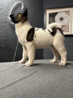 processed/4a1ef470-ef44-46c5-831c-b7878885efdb/listing/1dba3eaa-236d-4c6f-bc7c-7628caf114c5/68795a09-e7b7-4362-8cc5-0f941e701dcd