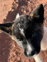 processed/4a1ef470-ef44-46c5-831c-b7878885efdb/listing/1dba3eaa-236d-4c6f-bc7c-7628caf114c5/d6c09d34-d0fa-405a-bb6d-a7227d43bd9f