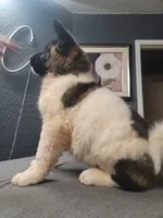 processed/4a1ef470-ef44-46c5-831c-b7878885efdb/listing/239e5b9c-5c9b-43d6-9efe-2275a440160b/6357148a-ba40-4f99-be01-a61c3f1c0cfb