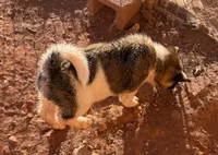 processed/4a1ef470-ef44-46c5-831c-b7878885efdb/listing/83e2b437-5d6d-4473-b2b0-3dc9feda54a6/0421864c-d9ca-4688-95f9-807c5bfb6d06