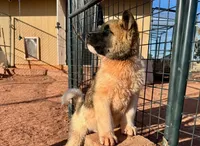 processed/4a1ef470-ef44-46c5-831c-b7878885efdb/listing/83e2b437-5d6d-4473-b2b0-3dc9feda54a6/28a14651-32d9-4da0-8f66-bc8c830151c0