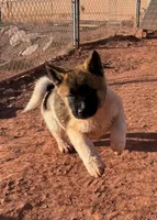 processed/4a1ef470-ef44-46c5-831c-b7878885efdb/listing/83e2b437-5d6d-4473-b2b0-3dc9feda54a6/8c9da6a7-92db-432f-86f4-c8791a8f0359