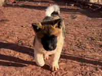 processed/4a1ef470-ef44-46c5-831c-b7878885efdb/listing/83e2b437-5d6d-4473-b2b0-3dc9feda54a6/928b215b-3f4d-4a54-876e-3ab1b9d47be4