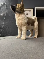 processed/4a1ef470-ef44-46c5-831c-b7878885efdb/listing/83e2b437-5d6d-4473-b2b0-3dc9feda54a6/92a410b0-3e48-4847-ad97-c80214d1c024