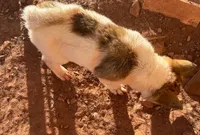 processed/4a1ef470-ef44-46c5-831c-b7878885efdb/listing/e3da2682-4714-4ec7-b041-2f98d0f1ec1e/16d43bba-4f91-497a-a336-69945bb11d56