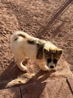 processed/4a1ef470-ef44-46c5-831c-b7878885efdb/listing/e3da2682-4714-4ec7-b041-2f98d0f1ec1e/7d8c0760-a17b-4115-aa45-aa2a804e09bc