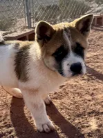 processed/4a1ef470-ef44-46c5-831c-b7878885efdb/listing/e3da2682-4714-4ec7-b041-2f98d0f1ec1e/8480a13c-4700-4b80-90c8-6d1d9fdecbd9