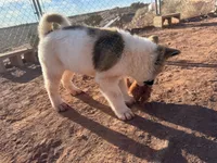 processed/4a1ef470-ef44-46c5-831c-b7878885efdb/listing/e3da2682-4714-4ec7-b041-2f98d0f1ec1e/f833a969-a87e-4d2b-a12e-8a64463b9c92