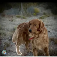 processed/4a26abf9-f086-40c9-8337-959d2dc9c733/facility/19c8f6b9-94b9-41b5-aa1c-c48e7d011067