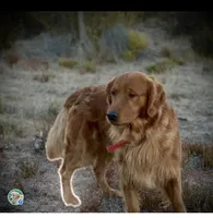 processed/4a26abf9-f086-40c9-8337-959d2dc9c733/facility/19c8f6b9-94b9-41b5-aa1c-c48e7d011067