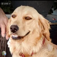 processed/4a26abf9-f086-40c9-8337-959d2dc9c733/facility/1fee3a84-eb5a-48a7-a8f4-feb120ca0044