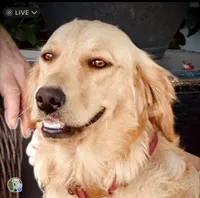 processed/4a26abf9-f086-40c9-8337-959d2dc9c733/facility/1fee3a84-eb5a-48a7-a8f4-feb120ca0044