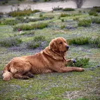 processed/4a26abf9-f086-40c9-8337-959d2dc9c733/facility/26be2fb7-a8c1-4449-83c2-226099db5c37