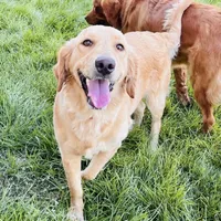 processed/4a26abf9-f086-40c9-8337-959d2dc9c733/facility/7f8347d4-4adb-4bca-bb32-5801bbe77ba4