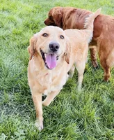 processed/4a26abf9-f086-40c9-8337-959d2dc9c733/facility/7f8347d4-4adb-4bca-bb32-5801bbe77ba4