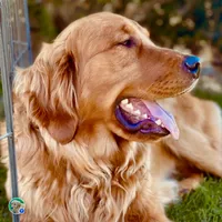 processed/4a26abf9-f086-40c9-8337-959d2dc9c733/facility/86e6c653-2ed5-478a-9f95-f1b988e4c8ff