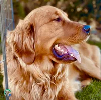 processed/4a26abf9-f086-40c9-8337-959d2dc9c733/facility/86e6c653-2ed5-478a-9f95-f1b988e4c8ff