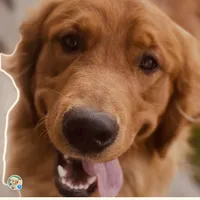 processed/4a26abf9-f086-40c9-8337-959d2dc9c733/facility/cb040fc1-40c6-4bb1-bda2-99b548e8de1e